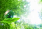 これも個性の一つ。人にはいやすい空間といずらい空間があります