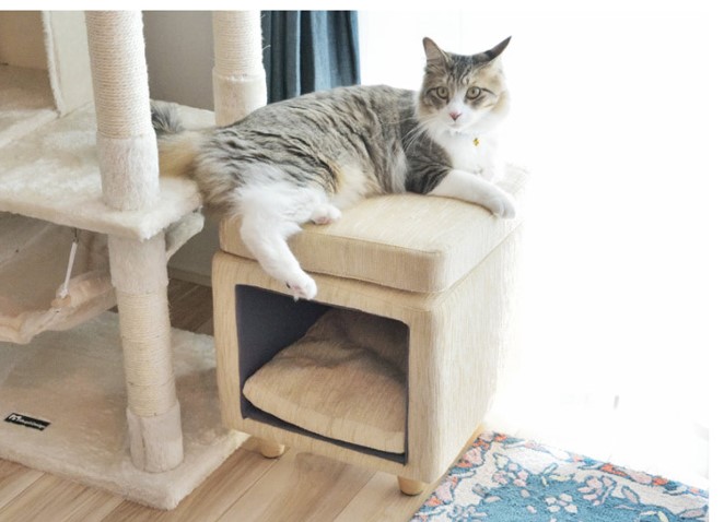 猫のいるリビングにおすすめの収納 かわいい家具5選 Covearth Magazine
