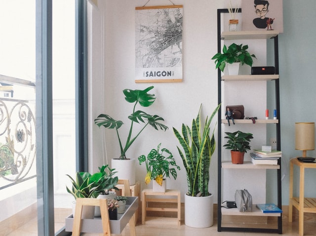 部屋に癒しを！観葉植物を置く4つのメリットと飾り方の具体例 