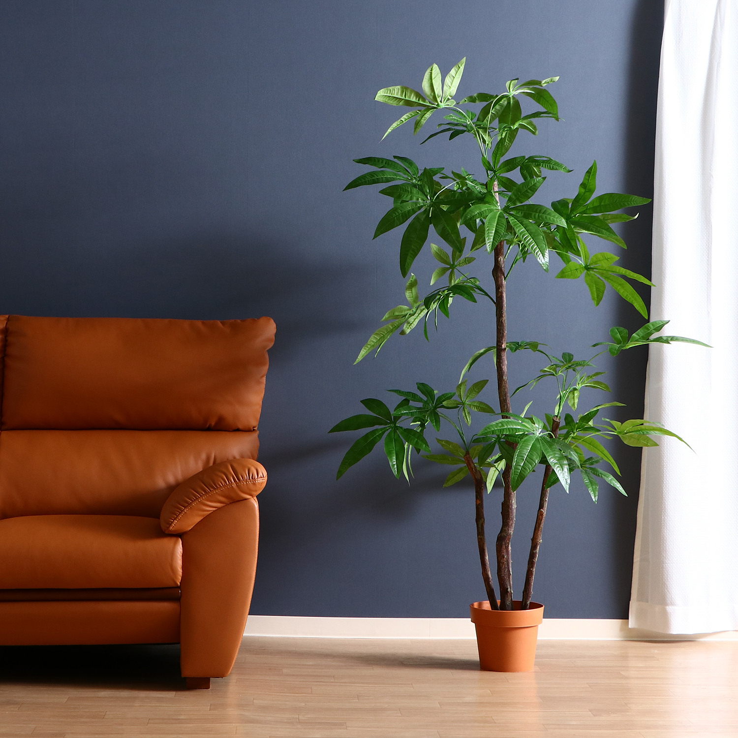 リビングに置いて運気up 観葉植物 フェイクグリーンの風水効果 Covearth Magazine