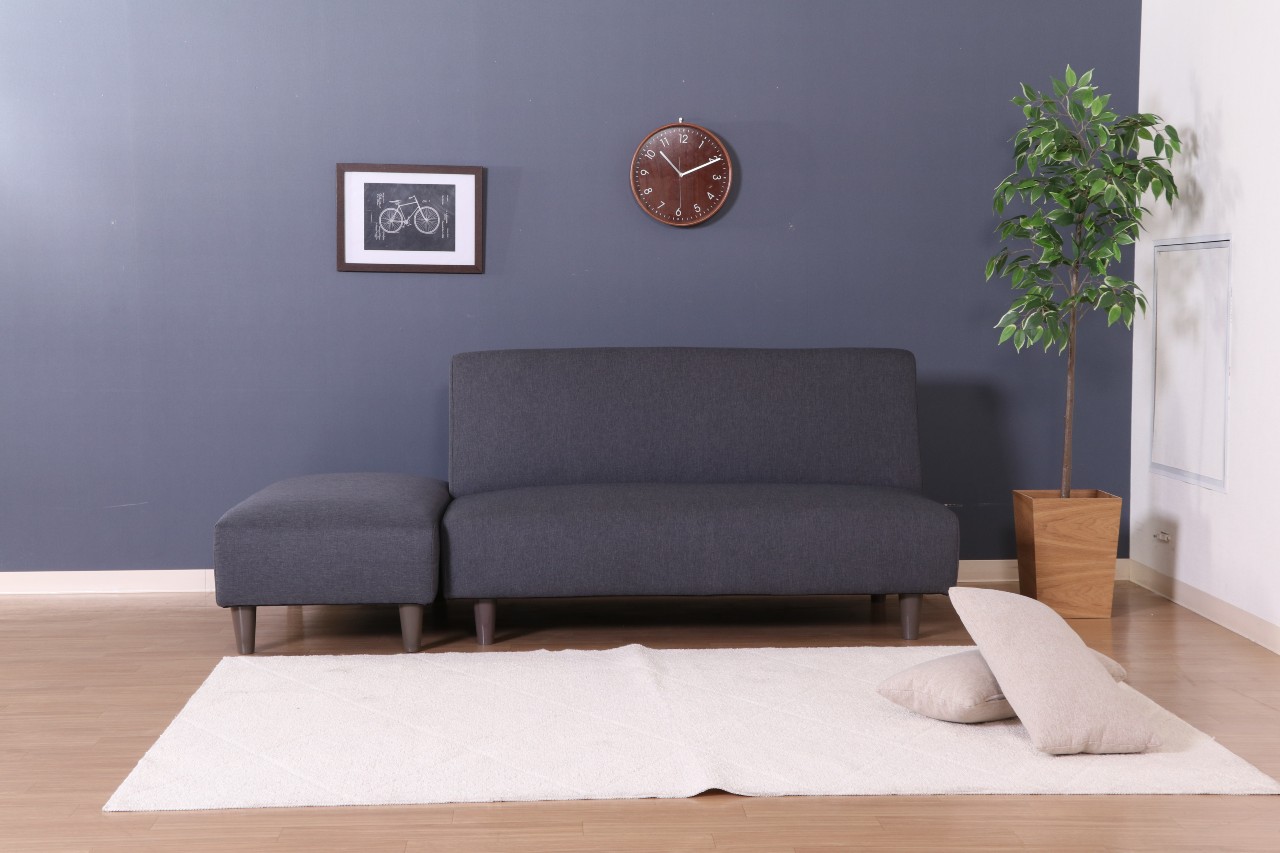 ワンルームにおすすめはどっち ソファベッドor折りたたみベッド Covearth Magazine