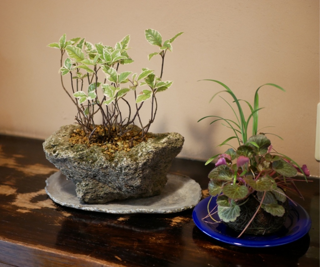 ガーデニングお洒落 楽天市場】花壇 おしゃれ（ガーデニング・農業｜花・ガーデン・DIY）の通販