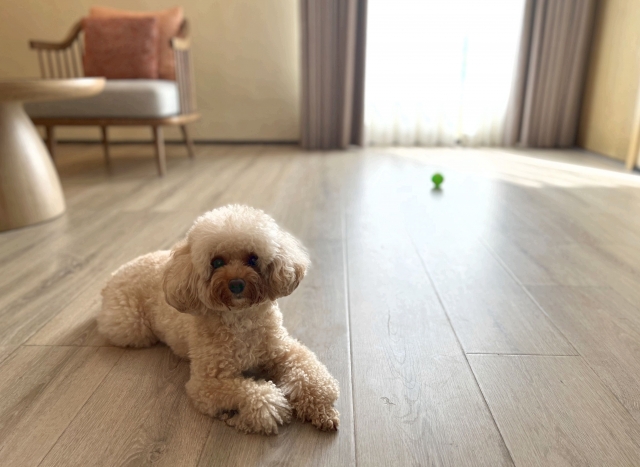 ダイニングテーブル〈椅子なし〉 ダイニングテーブルなしの暮らし】メリットとおすすめ代替え家具