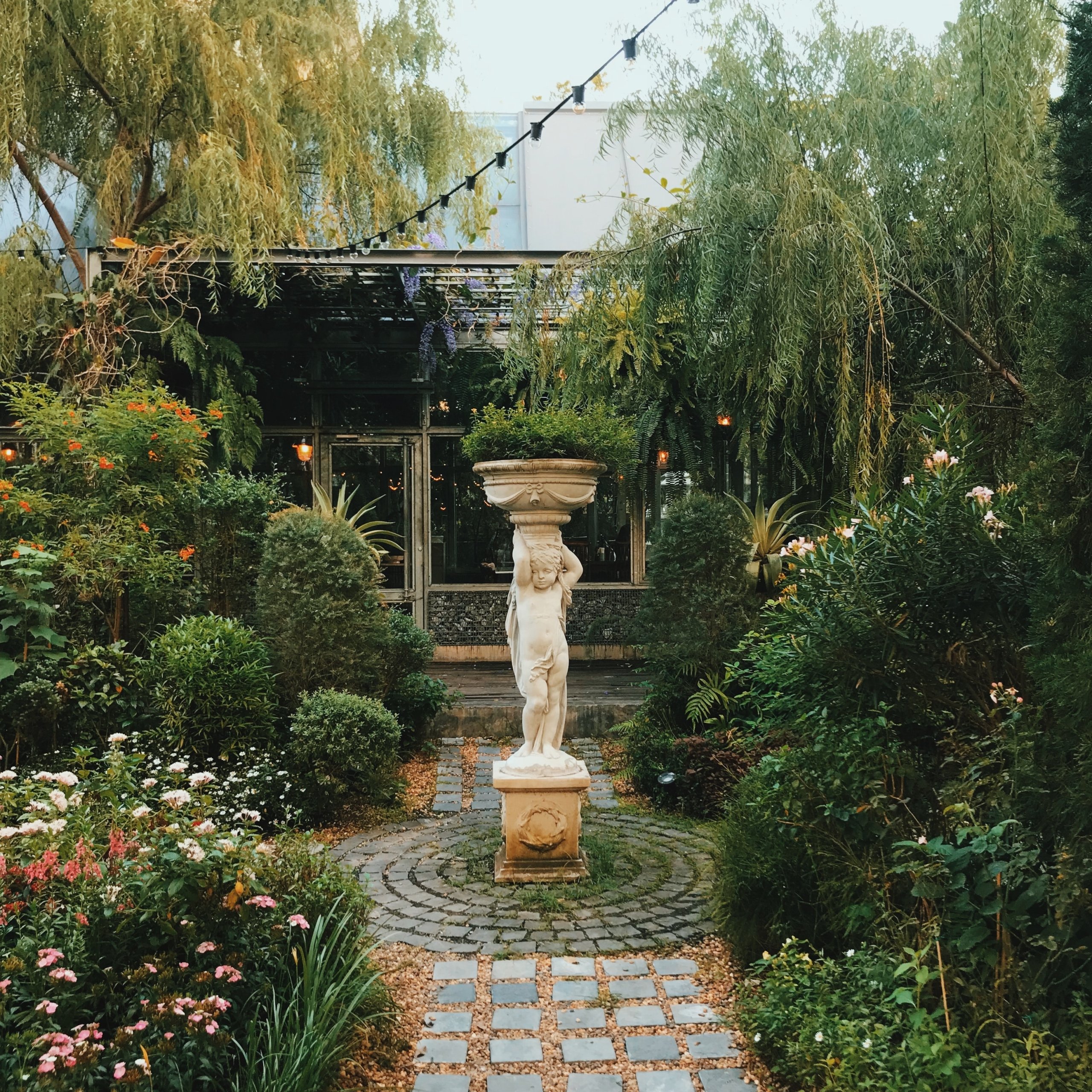 庭の目隠しになる植物5選 おしゃれでプライバシーを守る庭作り Covearth Magazine 庭の目隠しになる植物5選 おしゃれでプライバシーを守る庭作り Covearth Magazine