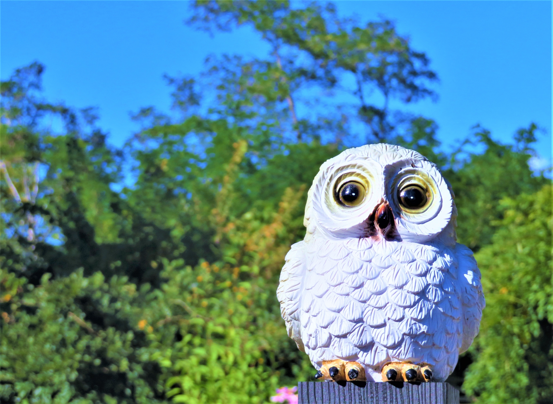 庭だって大人可愛くしたい！ガーデンのおすすめアイテム7選 | COVEARTH