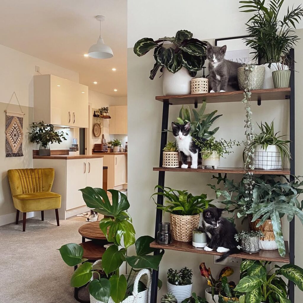 【ラダーラック】お部屋のおしゃれ演出に⁂ ラダーラック】 お部屋のおしゃれ演出に⁂ おしゃれなラダー