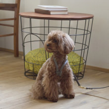 ワンちゃんの身体に優しくフィットする 犬用ハーネス (胴回り30から40cm)