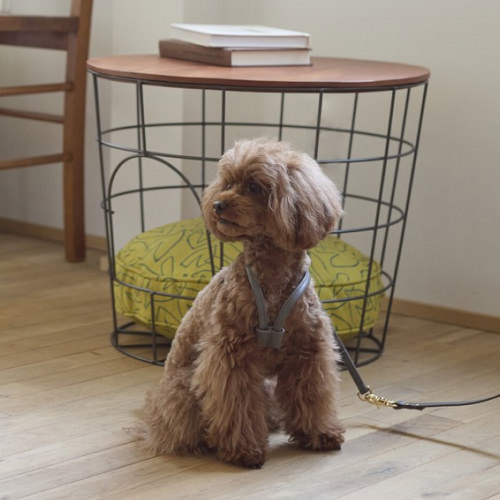 ワンちゃんの身体に優しくフィットする 犬用ハーネス (胴回り30から40cm)