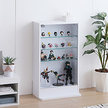 大切な物をいつも目にしたい コレクションケース 幅46×奥行18cmタイプ
