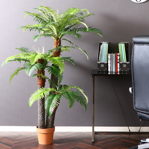 まるで本物のような緑の癒やしを与えてくれる 観葉植物 シダの詳細 カヴァース