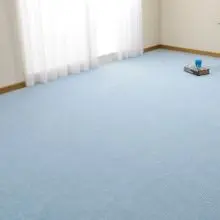 [261×352] ループパイルの平織カーペット 江戸間6帖 ブルー