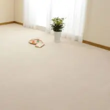 [261×352] ループパイルの平織カーペット 江戸間6帖 アイボリー