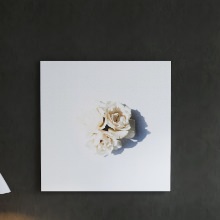 白いバラの花が上品さを引き立たせる 花のアートパネル