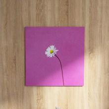 お部屋に爽やかな風が吹き抜けるようなとても可愛らしいデザインの 花のアートパネル