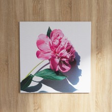 ピンクの大きな花のおしゃれなデザインが目を引く 花のアートパネル