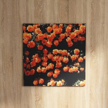 キュートなオレンジの花畑がお部屋にフレッシュな空気を吹き込む 花のアートパネル