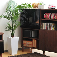�V���[�Y�ő�����ƈ�C�ɂ������ɂȂ��L���r�l�b�g