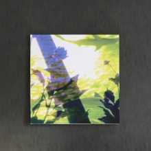 [30×30]落ち着いたカラーでお部屋を彩る 写真合成のアートボード