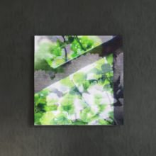 [30×30]お花の不思議な 合成アートのファブリックパネル