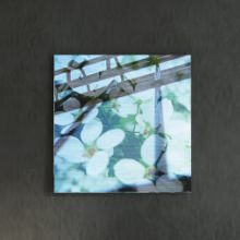 [30×30]視覚で楽しめる 花の合成アートのファブリックパネル