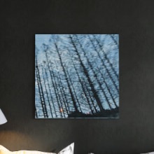お部屋にアートな雰囲気を取り入れる 秦義之のファブリックパネル/森