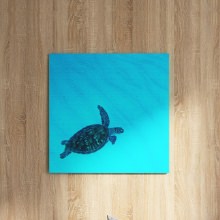 スカイブルーの海とウミガメ うみカメラマン「むらいさち」のファブリックパネル/亀