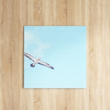 抜けるような青空が美しい うみカメラマン「むらいさち」のファブリックパネル/青空
