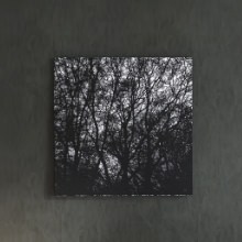 [30×30]生い茂る木々の影が幻想的な cruce&co.のアートパネル
