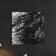 自然に癒されるような感覚になれる cruce&co.のアートパネル