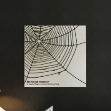 素材にこだわったアートをお部屋に 蜘蛛の巣を使ったインテリアパネル