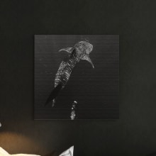 美しくモノクロな写真が空間をアートに 楠哲也氏が撮影したインテリアパネル/水中