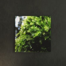 [30×30] 飾る場所を選ばない 風景写真のファブリックパネル