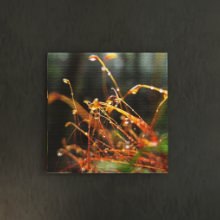 [30×30] 心落ち着くアート 風景写真のファブリックパネル