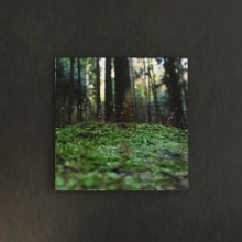 [30×30] 森の中の静けさを 風景写真のファブリックパネル