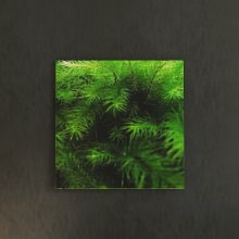 [30×30]飾りやすいモチーフ 風景写真のファブリックパネル