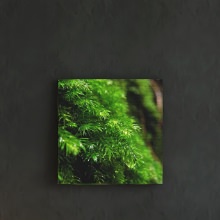 [30×30]青々としたグリーンが美しい 風景写真のファブリックパネル