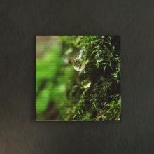 [30×30]みずみずしい綺麗な 風景写真のファブリックパネル
