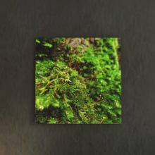 [30×30]グリーンがよく映えた 風景写真のファブリックパネル