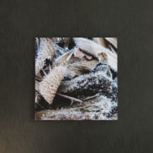 [30×30]キャンバスが生み出すアートな雰囲気 風景写真のファブリックパネル