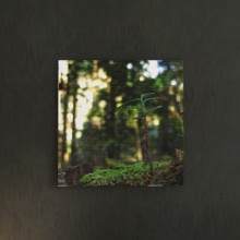 [30×30]自然を感じることができる 風景写真のファブリックパネル