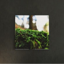 [30×30]自然な雰囲気が感じられる 風景写真のファブリックパネル