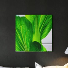 鮮やかな緑色が印象的な 野菜モチーフのインテリアパネル