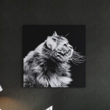 猫好きにはたまらない 壁掛けインテリアにファブリックパネル/猫
