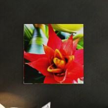 鮮やかさがお部屋のアクセントに 花モチーフのファブリックパネル