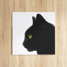 真っ白な背景に良く映えたかっこいい表情 黒猫のアートボード