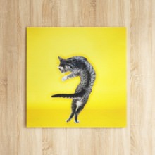 モダンなワンランク上の空間を作る 猫のアートパネル
