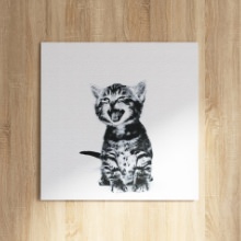子猫の愛くるしさに溢れている 猫のファブリックパネル