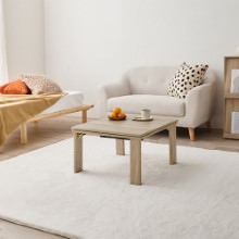 一年中使える天板リバーシブル仕様 折脚カジュアルコタツ (ナチュラル)