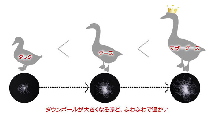 羽毛布団の種類 カヴァース