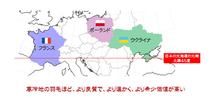 羽毛の産地と品質